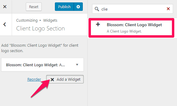 Select Blossom Client widget