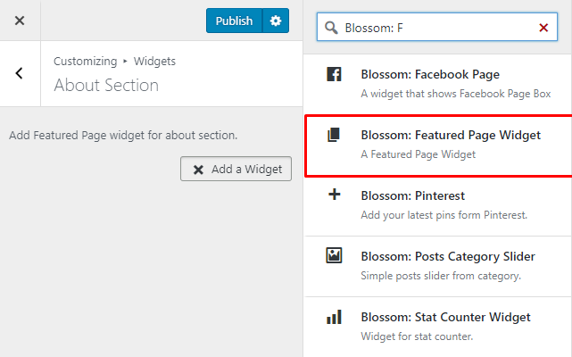 Select blossom featured widget