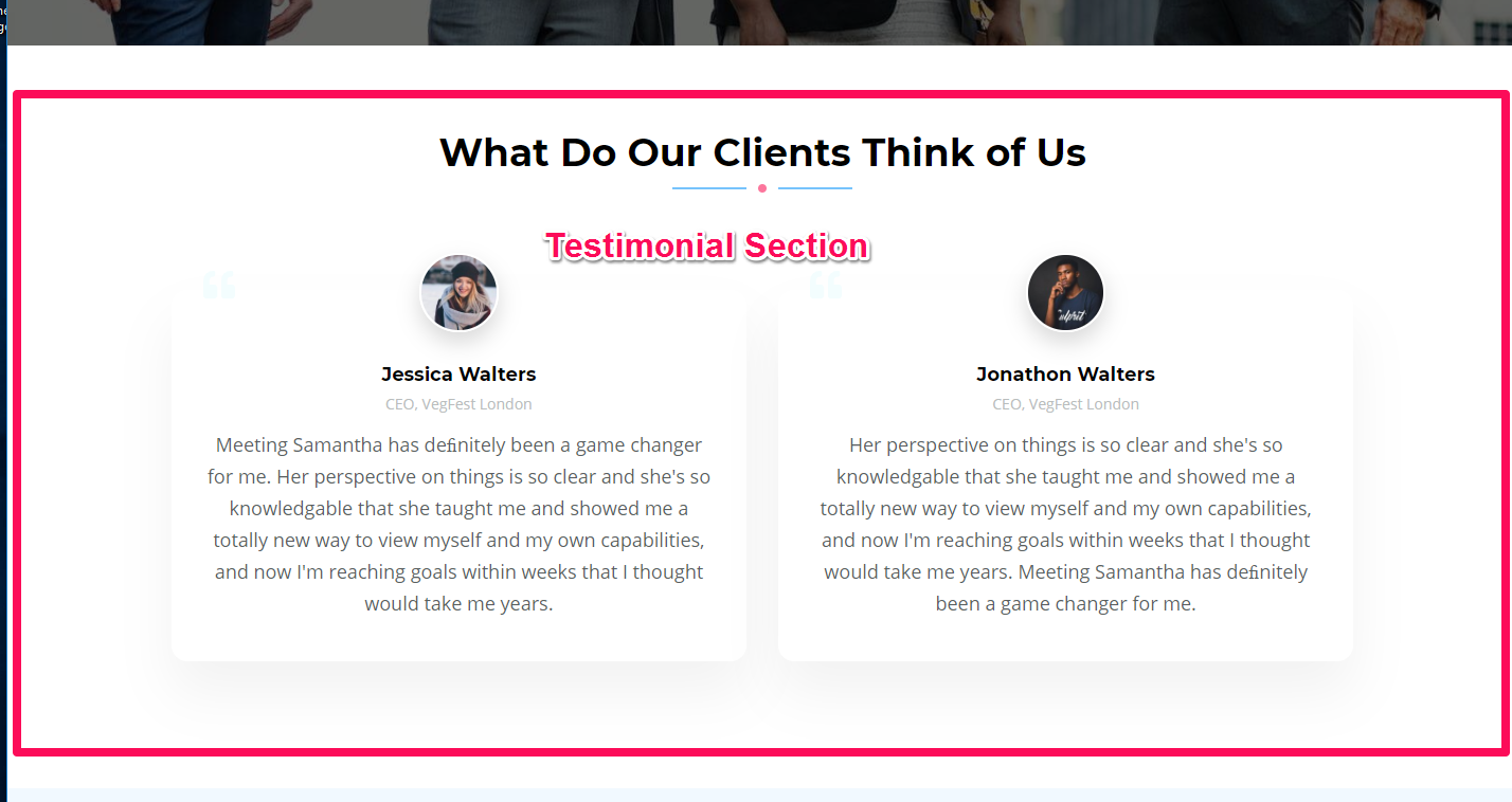 Testimonial Section Demo