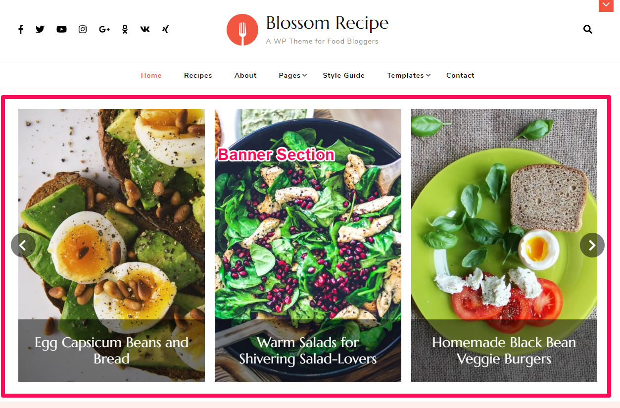 Banner section demo blossom recipe pro