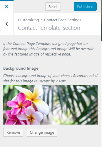 Contact Template Section