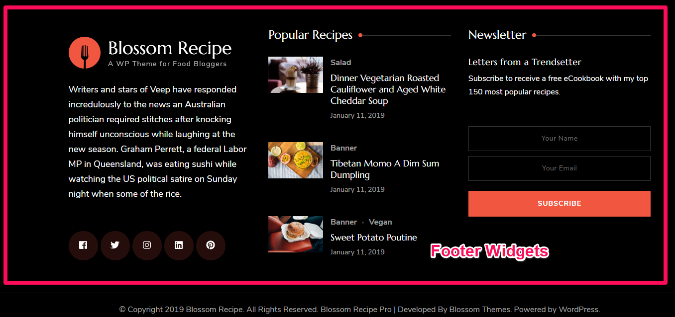 Footer widget area demo blossom recipe pro