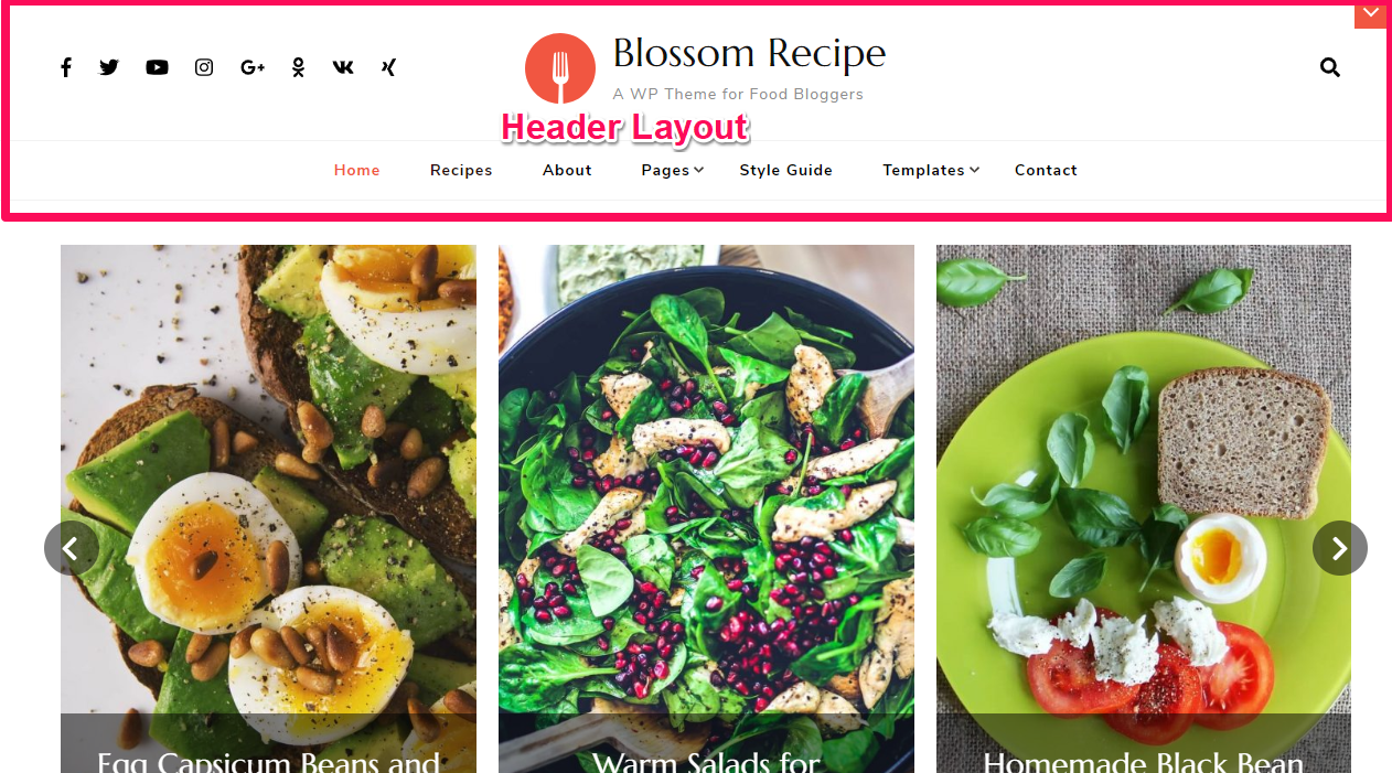 header layouts demo blossom recipe pro