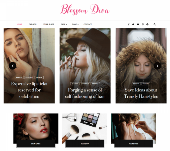 Introduction Blossomthemes