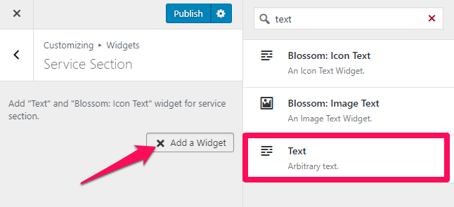 select text widget