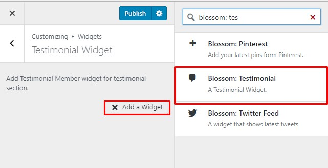 select testiimonial widget blossom coach