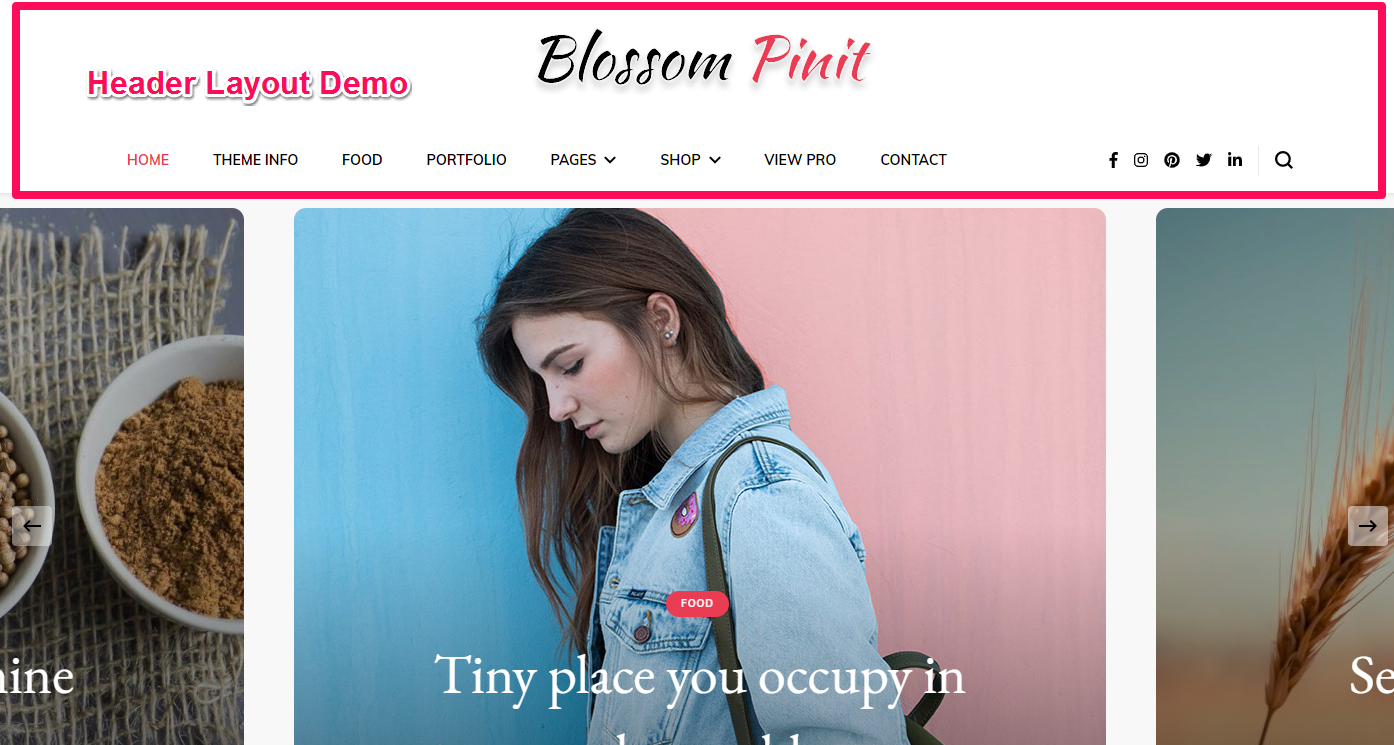 header layout demo blossom pinit