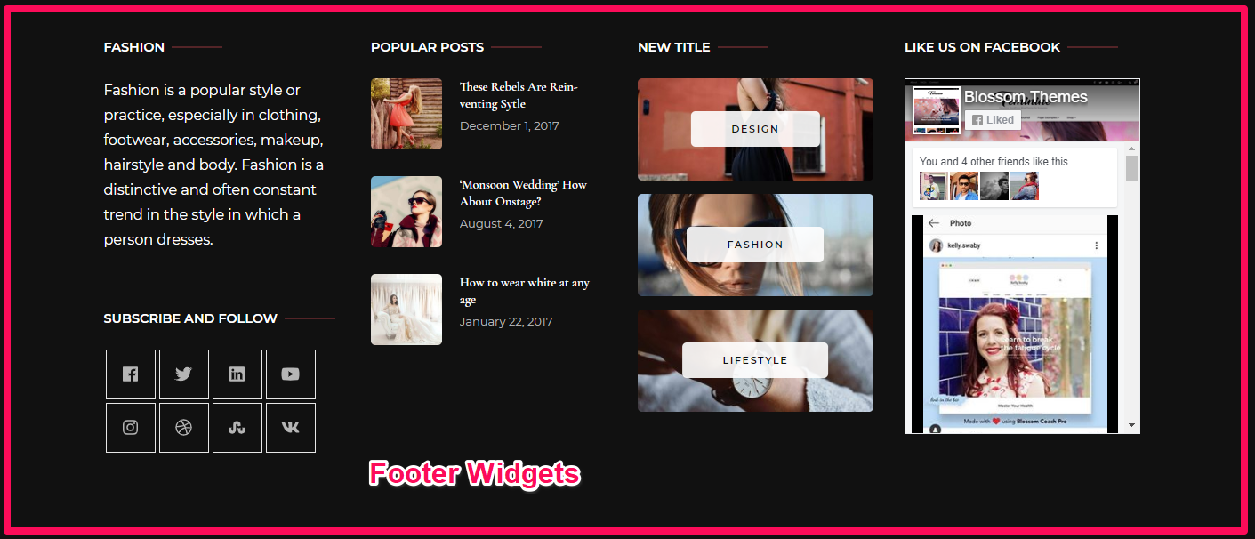 footer widgets demo blossom themes