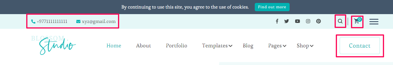 Header Settings How to Configure Header Settings? – BlossomThemes