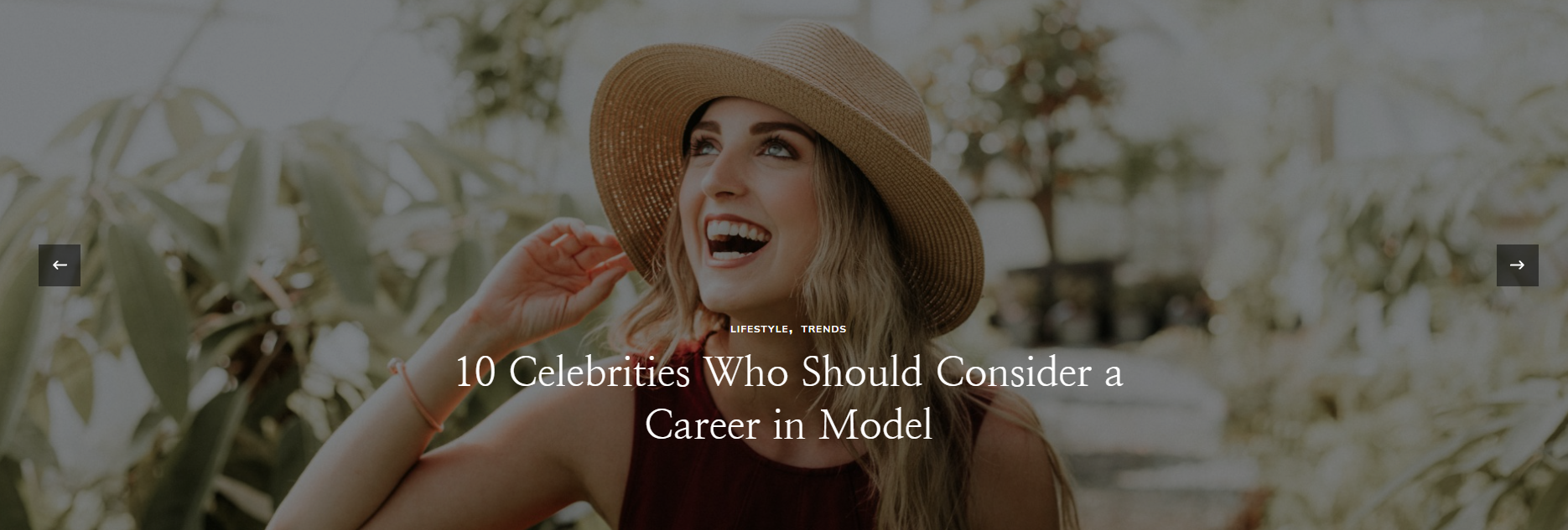 How To Configure Banner Section Blossomthemes